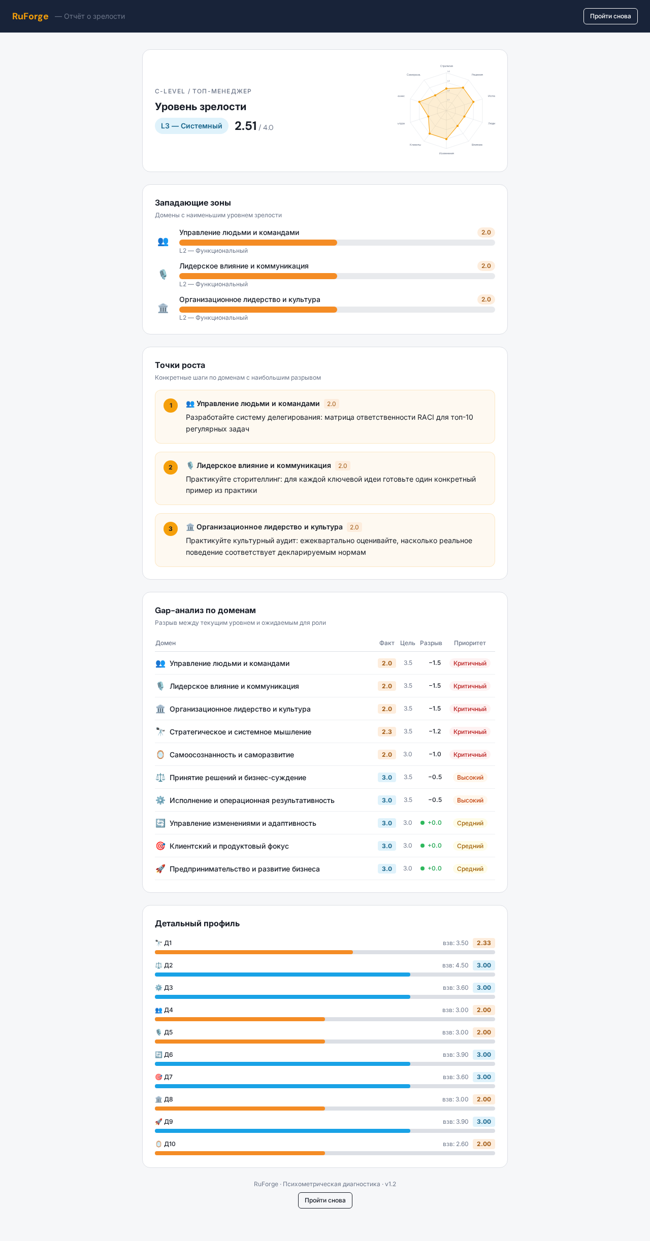 Пример отчёта диагностики RuForge